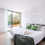 Calma * 圣洛伦索巴拉菲