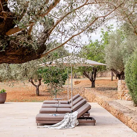 Calma 圣洛伦索巴拉菲